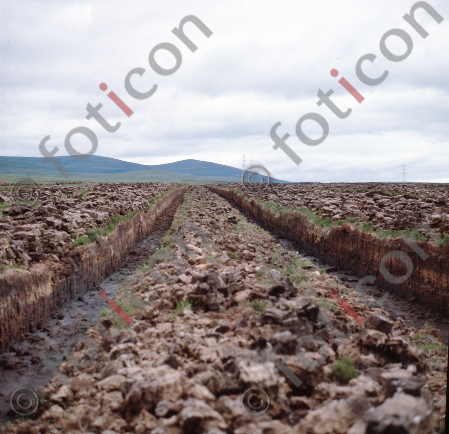 Torffeld | Peat field - Foto foticon-hofmann-001-000.jpg | foticon.de - Bilddatenbank für Motive aus Geschichte und Kultur